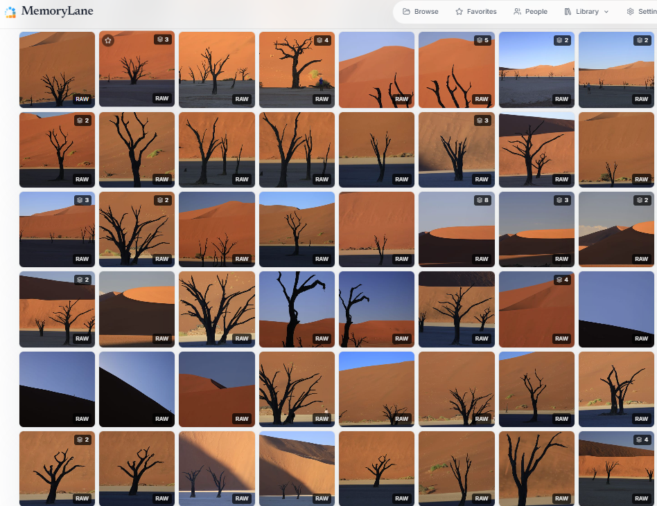 MemoryLane folder view showing a large collection of camera RAW photographs with previews and stack counts